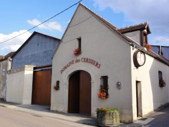 Le domaine aujourd'hui... - Domaine Colbois, Vins de Chitry