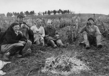 Historique - Domaine Colbois, Vins de Chitry