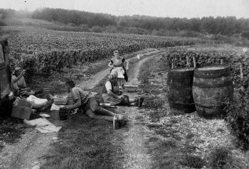 Historique - Domaine Colbois, Vins de Chitry